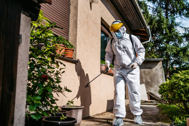 Best Insect Control  in Ankeny, IA