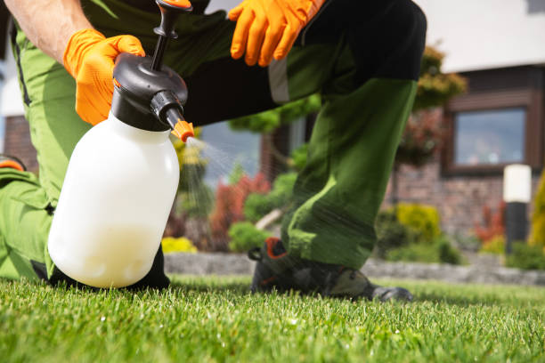 Flea Control Services in Ankeny, IA