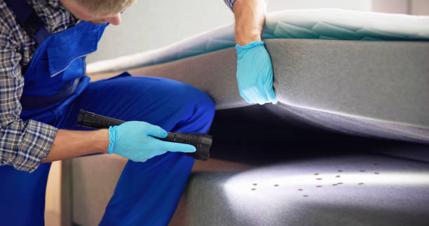 Best Mosquito Control Services  in Ankeny, IA