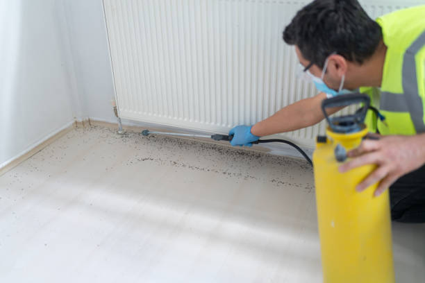  Ankeny, IA Pest Control Pros
