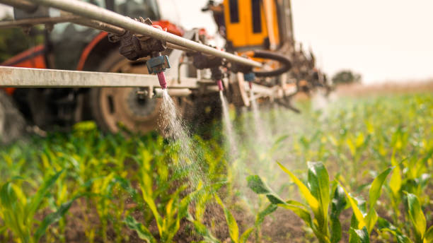 Best Commercial Pest Control Services  in Ankeny, IA